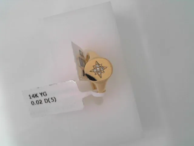 14KYG DIAMOND SIGNET PINKY RIN