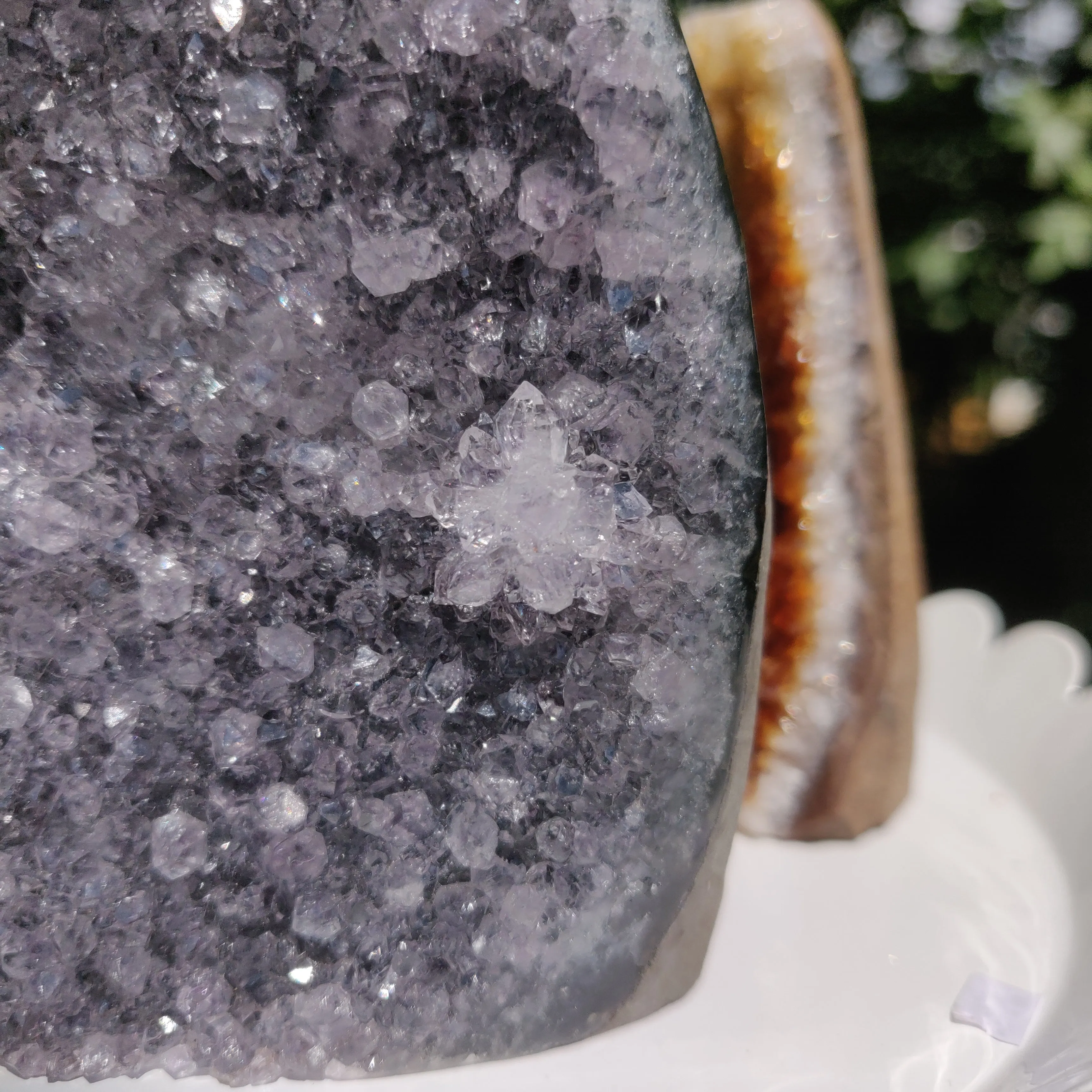 Amethyst Geode Free Form, Polished (#14)