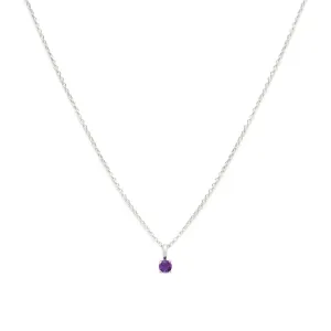 Birthstone Necklace | Silver & Amethyst