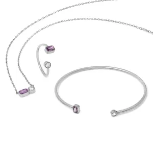 February Amethyst Birthstone Gift Set - Silver