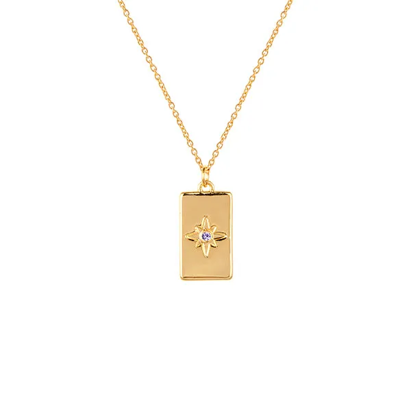 February Birthstone Necklace