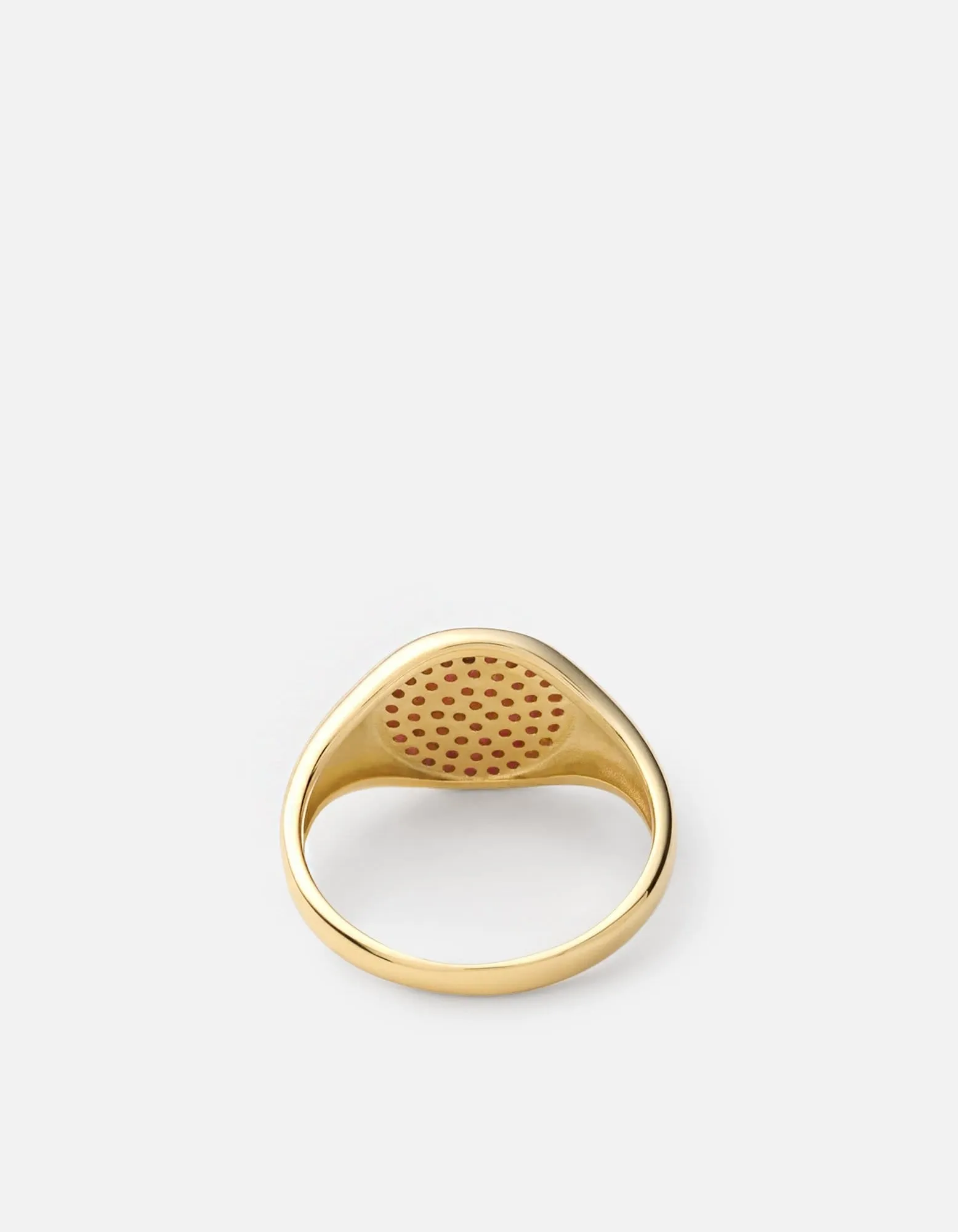 Horizon Signet Ring, 14k Gold/Ruby