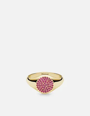 Horizon Signet Ring, 14k Gold/Ruby