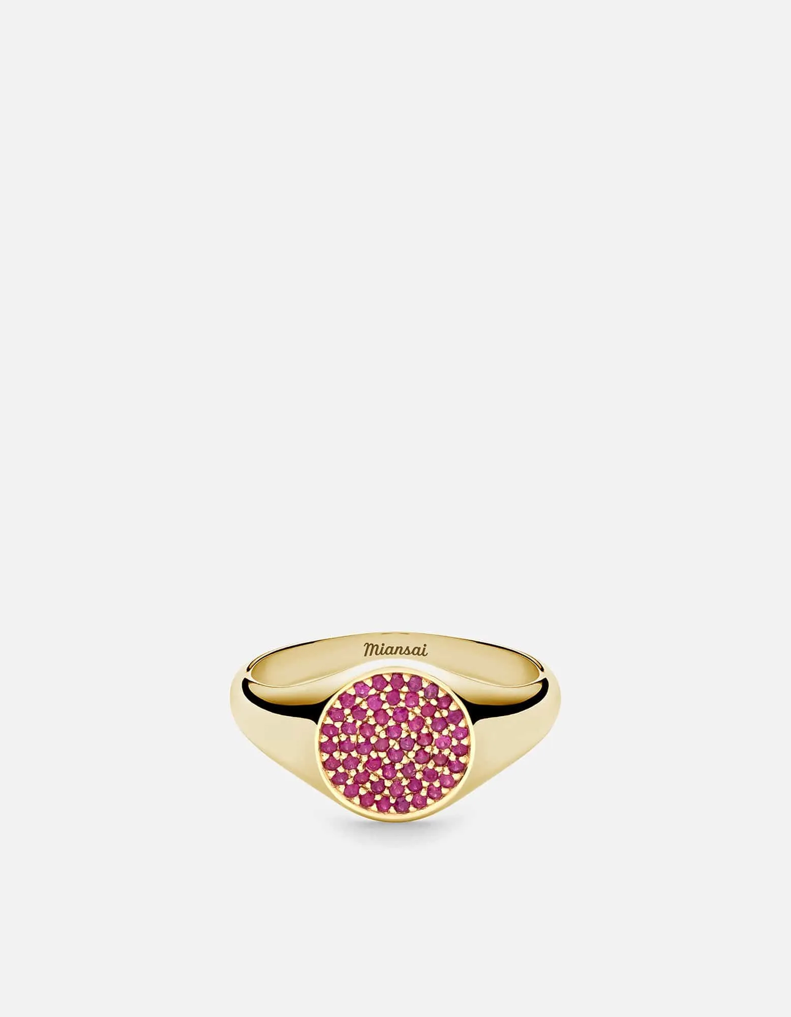 Horizon Signet Ring, 14k Gold/Ruby