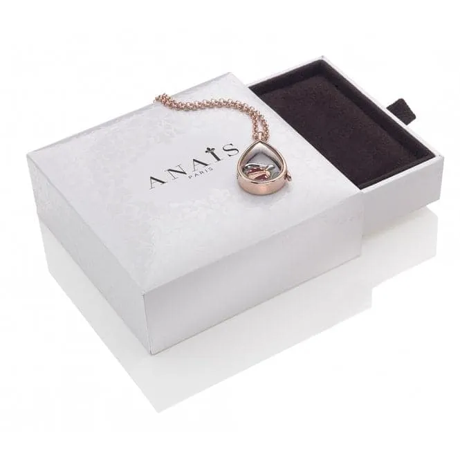 Hot Diamonds Anais Sterling Silver February Charm AC022