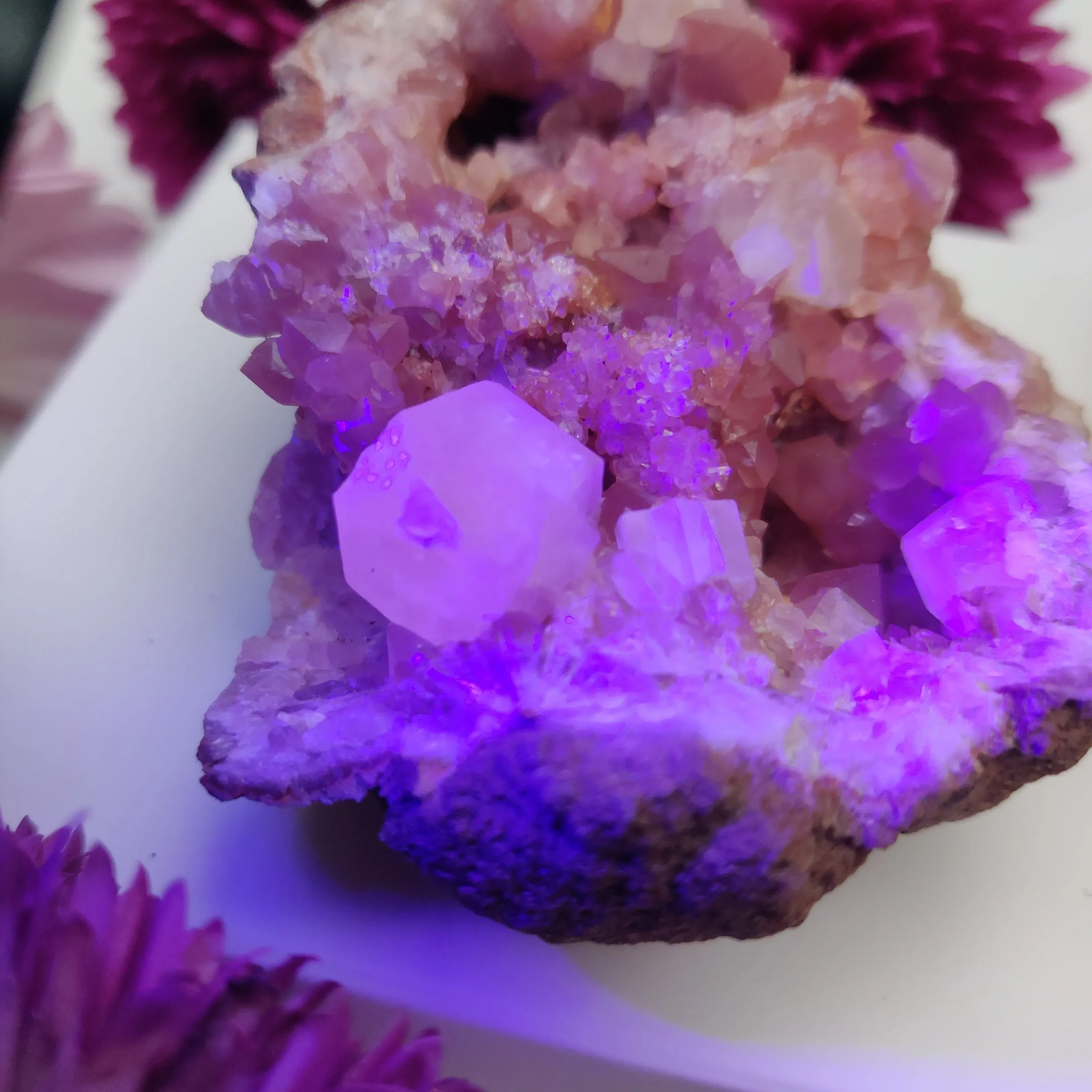 Pink Amethyst Geode with Fluorescent Calcite (#M3)