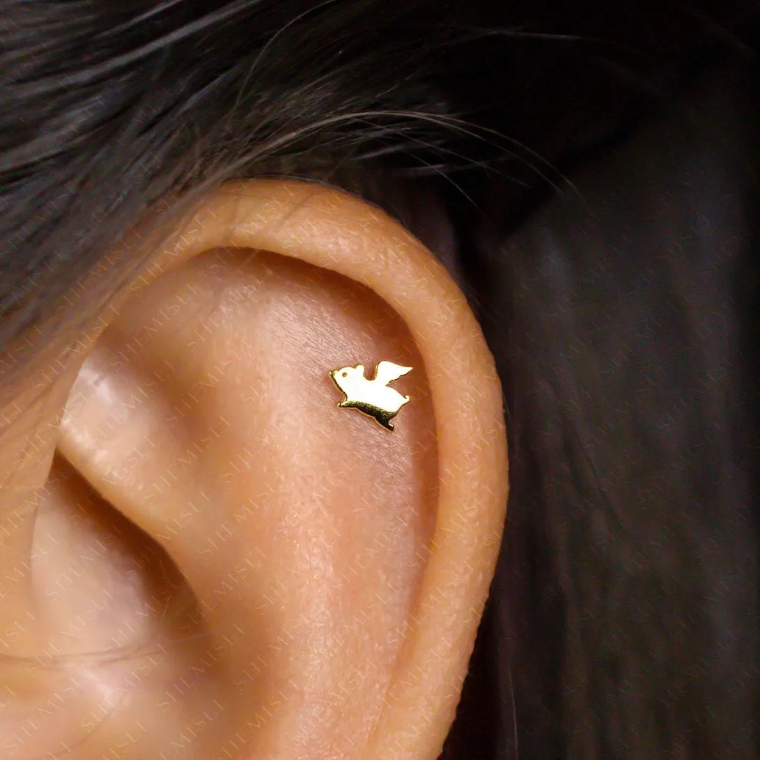 Tiny Flying Pig Stud Earrings, Unisex, Gold, Silver SHEMISLI SS839 Butterfly End, SS840 Screw Ball End (Type A) LR