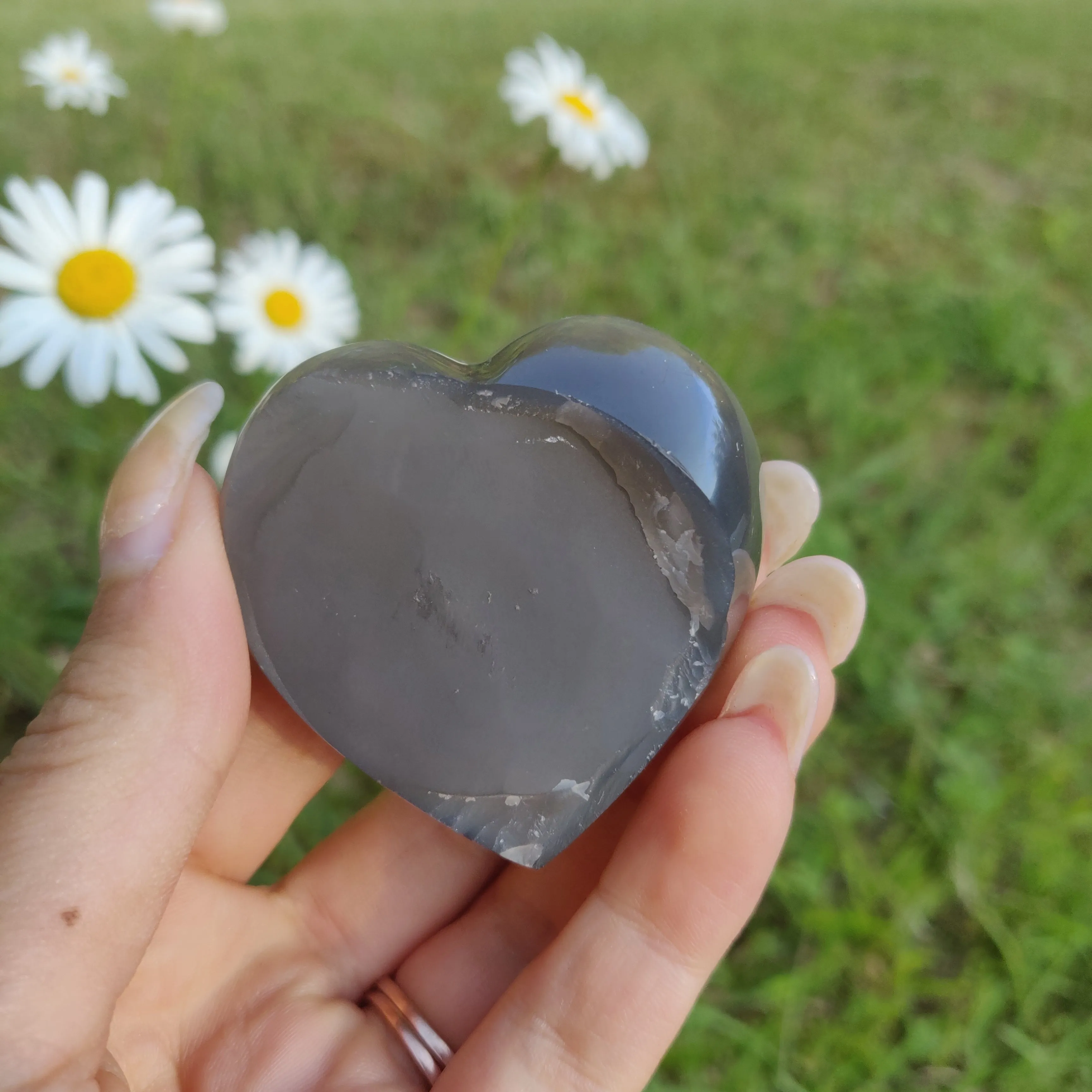 Titanium Amethyst Heart (#4)