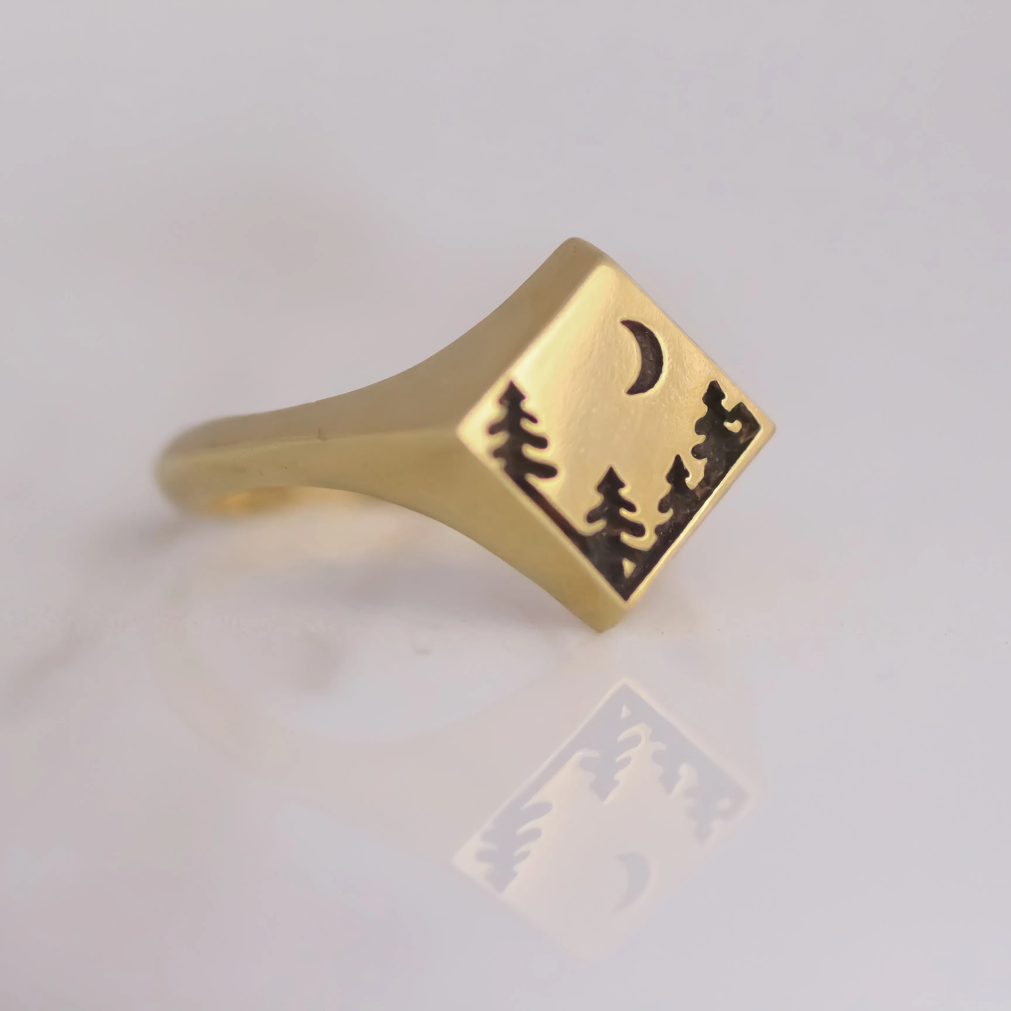Yosemite Signet Ring 14k gold